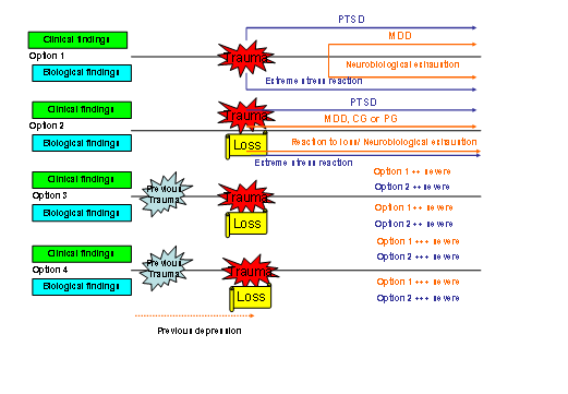 Figure 1. Schema of Posttraum